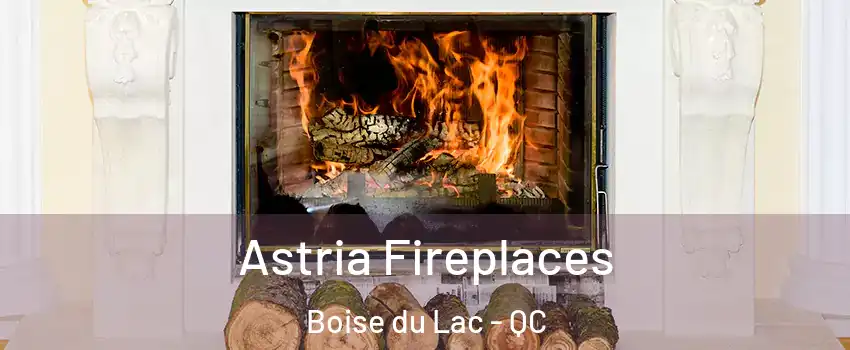  Astria Fireplaces Boise du Lac - QC