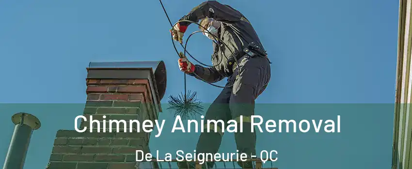  Chimney Animal Removal De La Seigneurie - QC
