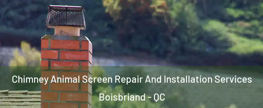  Chimney Animal Screen Repair And Installation Services Boisbriand - QC