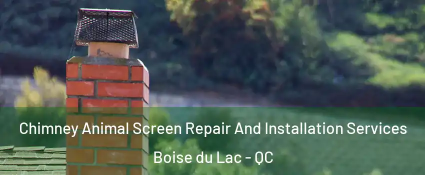  Chimney Animal Screen Repair And Installation Services Boise du Lac - QC