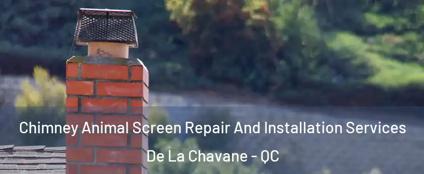  Chimney Animal Screen Repair And Installation Services De La Chavane - QC