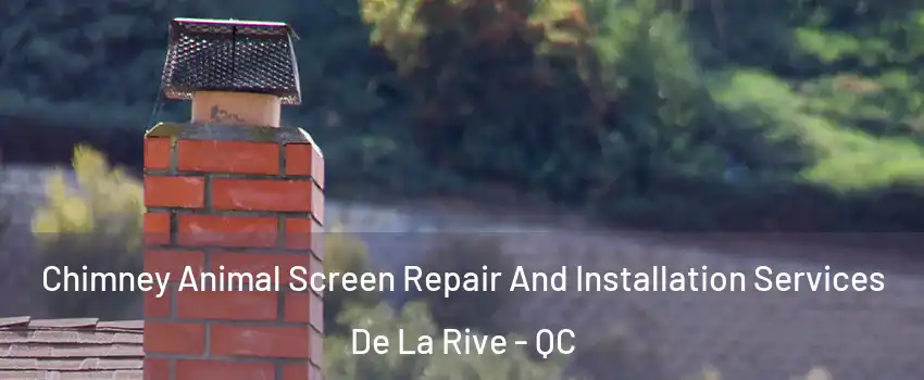  Chimney Animal Screen Repair And Installation Services De La Rive - QC
