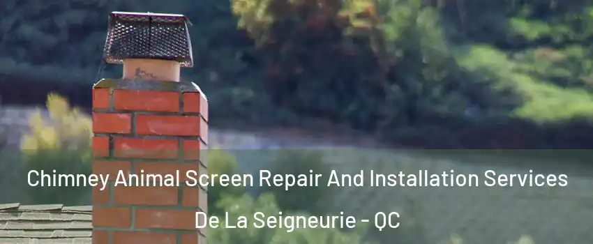  Chimney Animal Screen Repair And Installation Services De La Seigneurie - QC