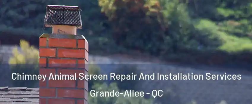  Chimney Animal Screen Repair And Installation Services Grande-Allee - QC