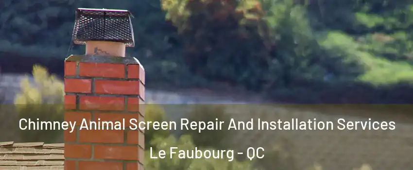  Chimney Animal Screen Repair And Installation Services Le Faubourg - QC