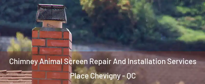  Chimney Animal Screen Repair And Installation Services Place Chevigny - QC