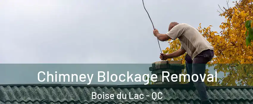  Chimney Blockage Removal Boise du Lac - QC