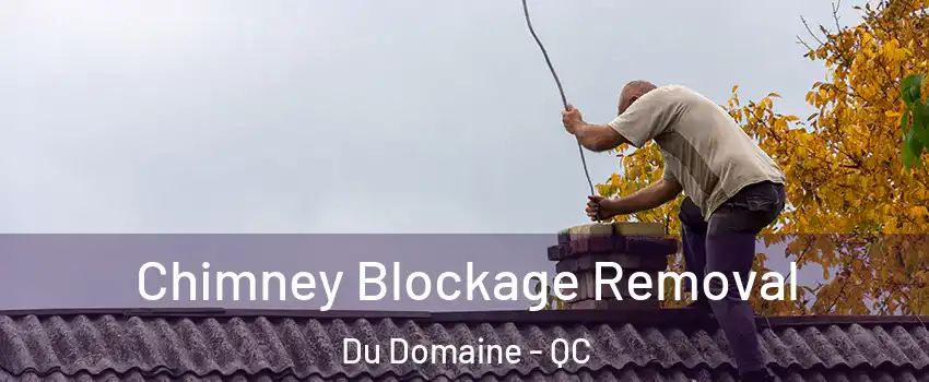  Chimney Blockage Removal Du Domaine - QC