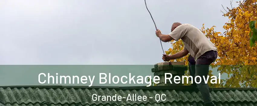  Chimney Blockage Removal Grande-Allee - QC