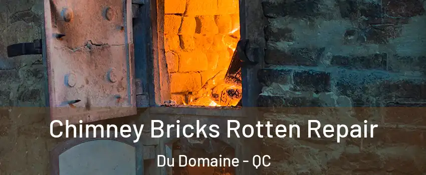  Chimney Bricks Rotten Repair Du Domaine - QC