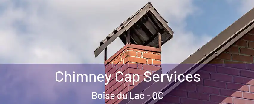  Chimney Cap Services Boise du Lac - QC