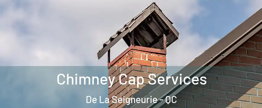  Chimney Cap Services De La Seigneurie - QC
