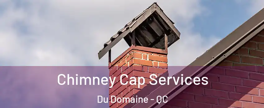  Chimney Cap Services Du Domaine - QC