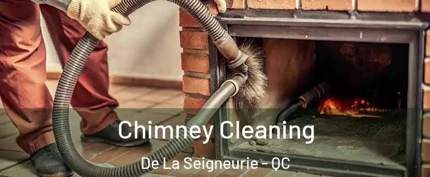  Chimney Cleaning De La Seigneurie - QC