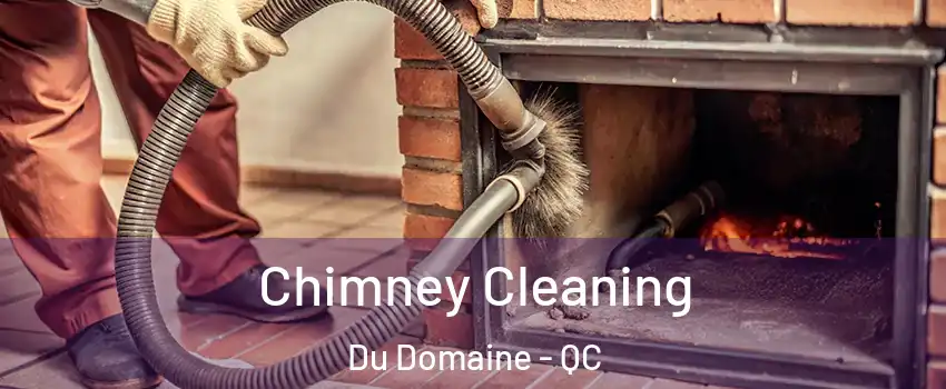  Chimney Cleaning Du Domaine - QC