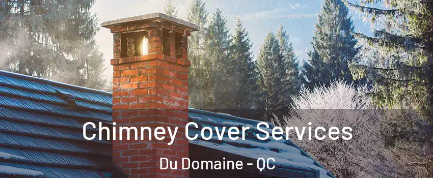  Chimney Cover Services Du Domaine - QC