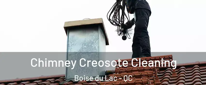  Chimney Creosote Cleaning Boise du Lac - QC