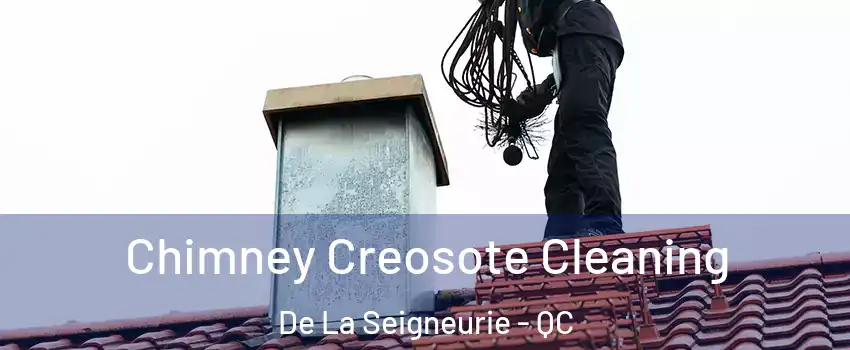  Chimney Creosote Cleaning De La Seigneurie - QC