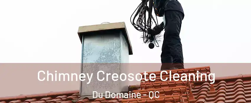  Chimney Creosote Cleaning Du Domaine - QC