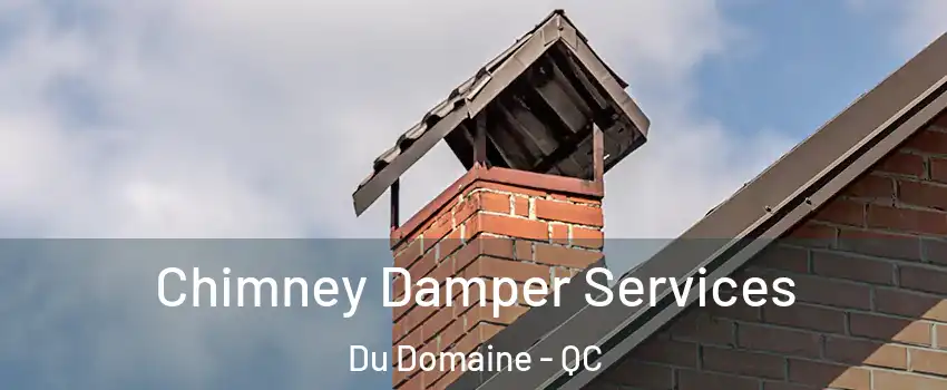  Chimney Damper Services Du Domaine - QC