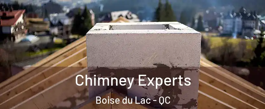  Chimney Experts Boise du Lac - QC