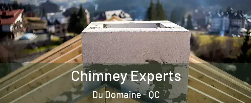  Chimney Experts Du Domaine - QC