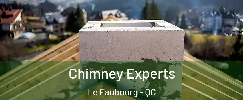  Chimney Experts Le Faubourg - QC