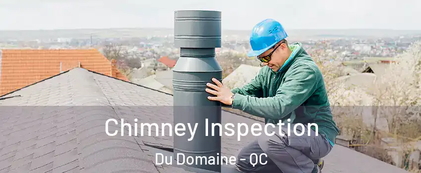  Chimney Inspection Du Domaine - QC