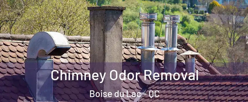  Chimney Odor Removal Boise du Lac - QC