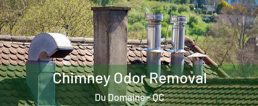  Chimney Odor Removal Du Domaine - QC