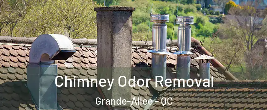  Chimney Odor Removal Grande-Allee - QC