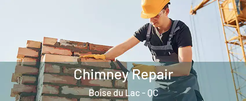  Chimney Repair Boise du Lac - QC