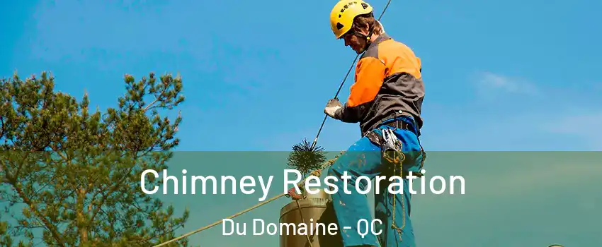  Chimney Restoration Du Domaine - QC