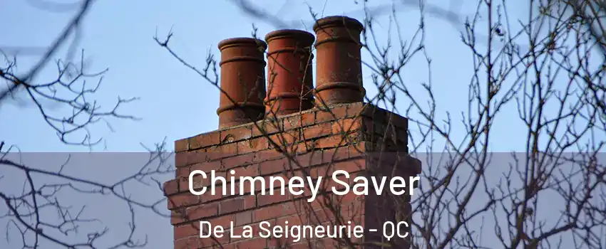  Chimney Saver De La Seigneurie - QC