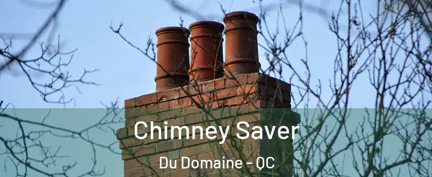  Chimney Saver Du Domaine - QC
