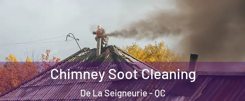  Chimney Soot Cleaning De La Seigneurie - QC