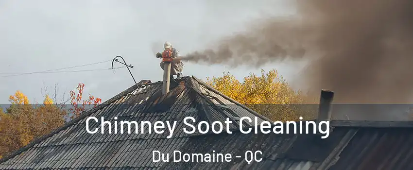  Chimney Soot Cleaning Du Domaine - QC