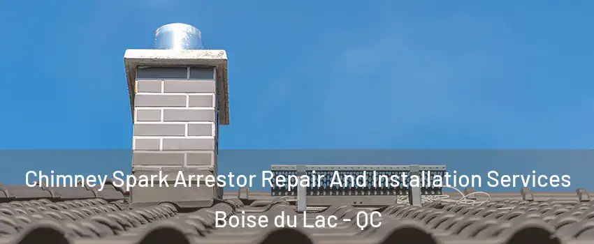  Chimney Spark Arrestor Repair And Installation Services Boise du Lac - QC