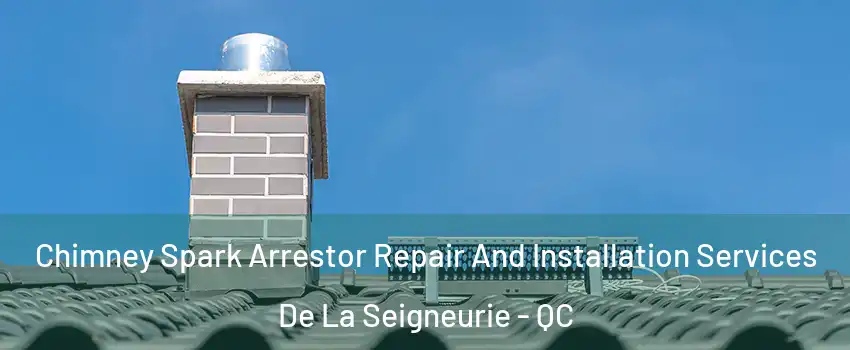  Chimney Spark Arrestor Repair And Installation Services De La Seigneurie - QC