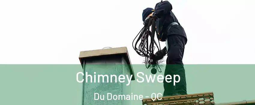  Chimney Sweep Du Domaine - QC