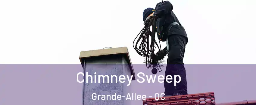  Chimney Sweep Grande-Allee - QC