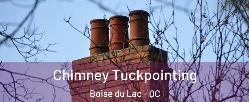  Chimney Tuckpointing Boise du Lac - QC
