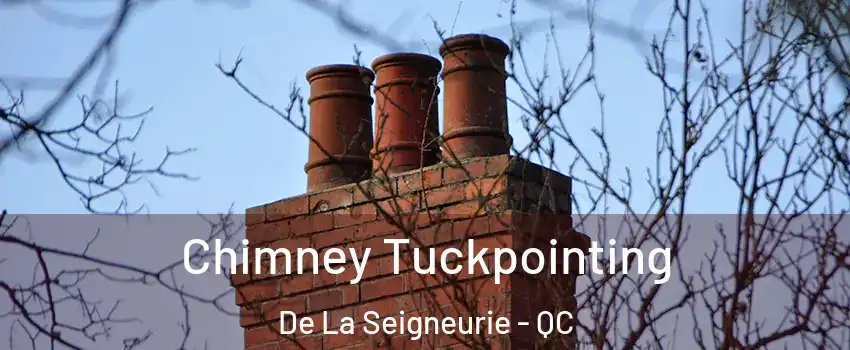  Chimney Tuckpointing De La Seigneurie - QC