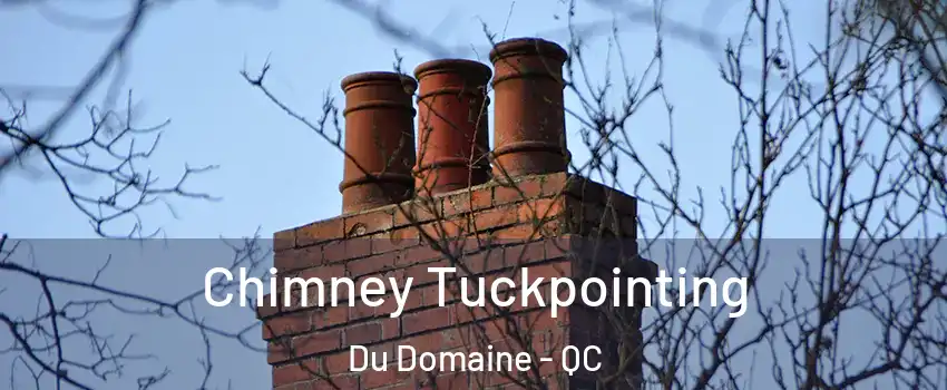  Chimney Tuckpointing Du Domaine - QC