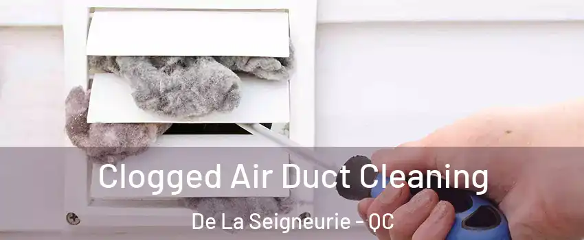  Clogged Air Duct Cleaning De La Seigneurie - QC