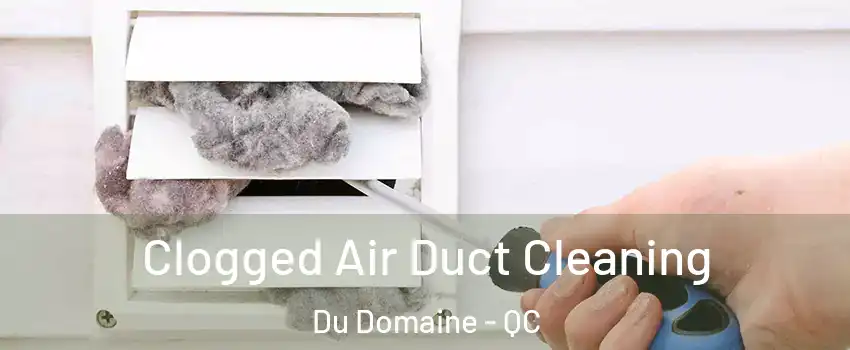  Clogged Air Duct Cleaning Du Domaine - QC