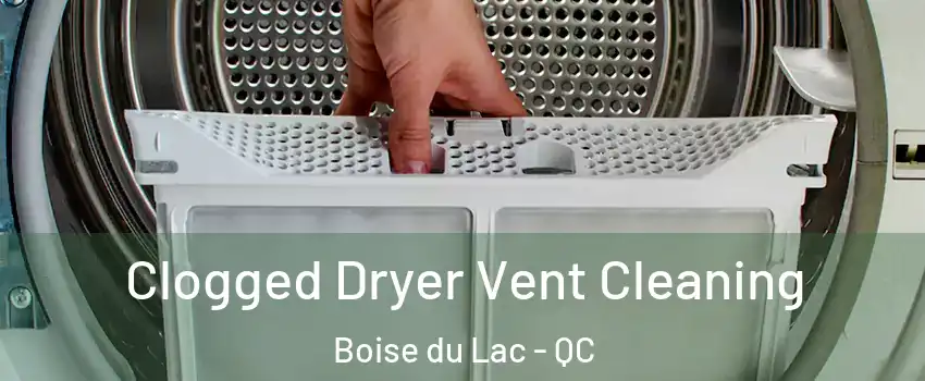  Clogged Dryer Vent Cleaning Boise du Lac - QC