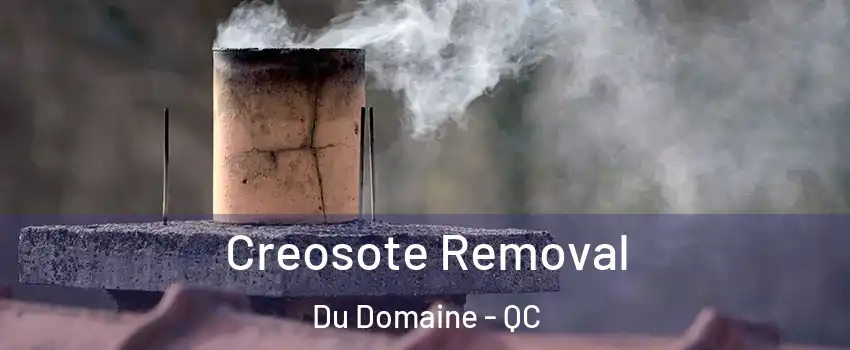  Creosote Removal Du Domaine - QC