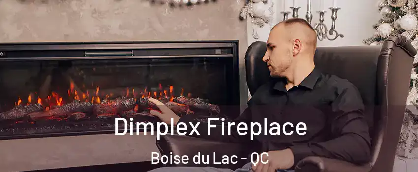  Dimplex Fireplace Boise du Lac - QC
