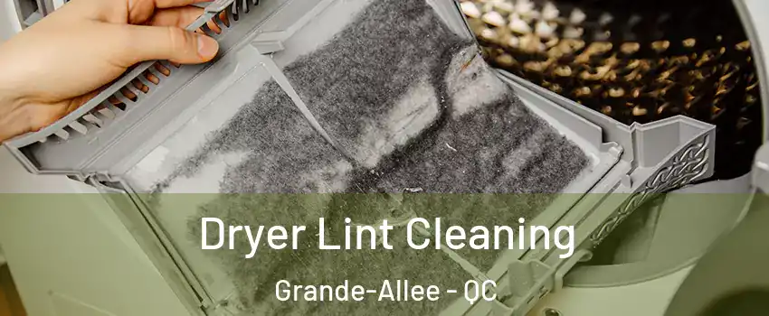  Dryer Lint Cleaning Grande-Allee - QC